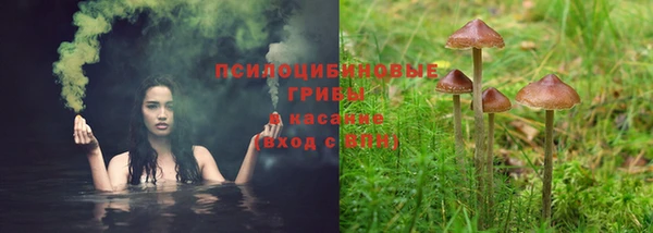 герыч Арсеньев