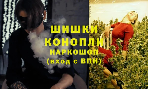 бошки Аркадак