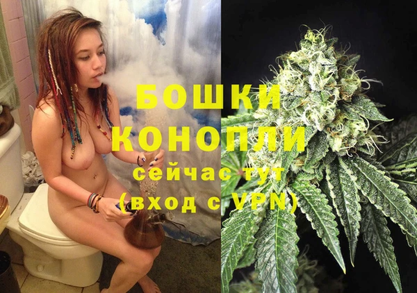 бошки Аркадак