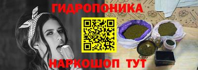 крисы Татарск