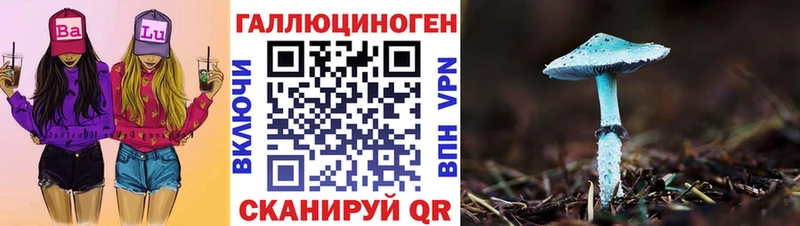 Галлюциногенные грибы Psilocybine cubensis  Строитель 
