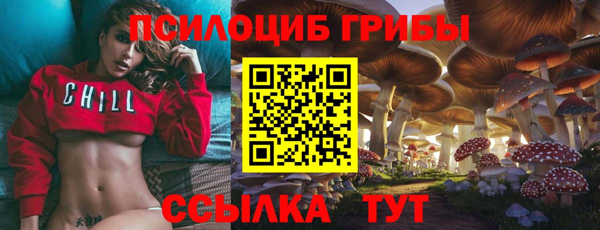 Псилоцибиновые грибы Psilocybe Строитель